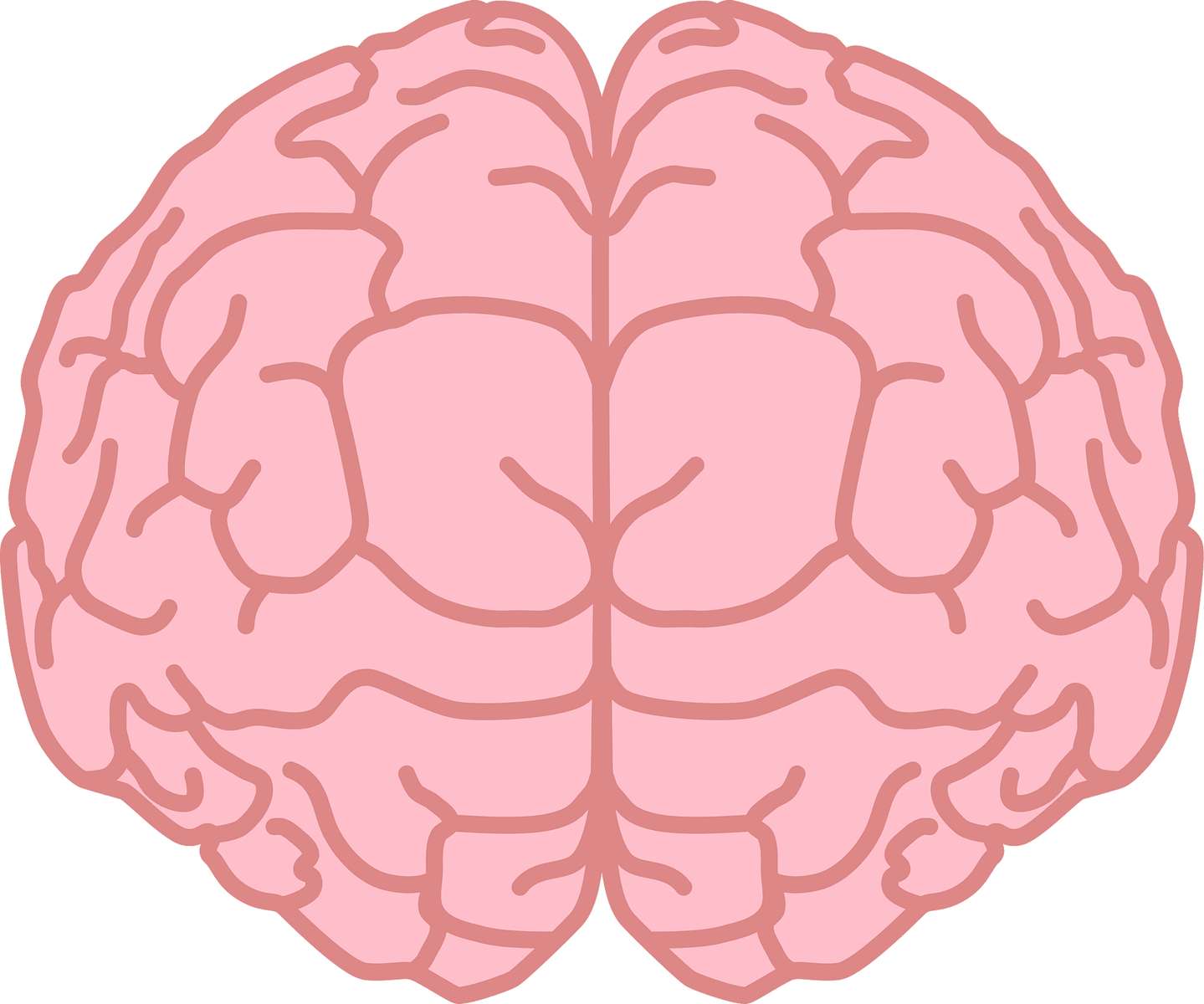 Brain Puzzle puzzle online from photo