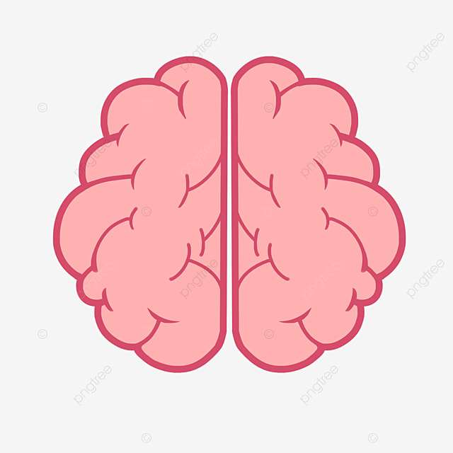 Gehirn-Puzzle Online-Puzzle