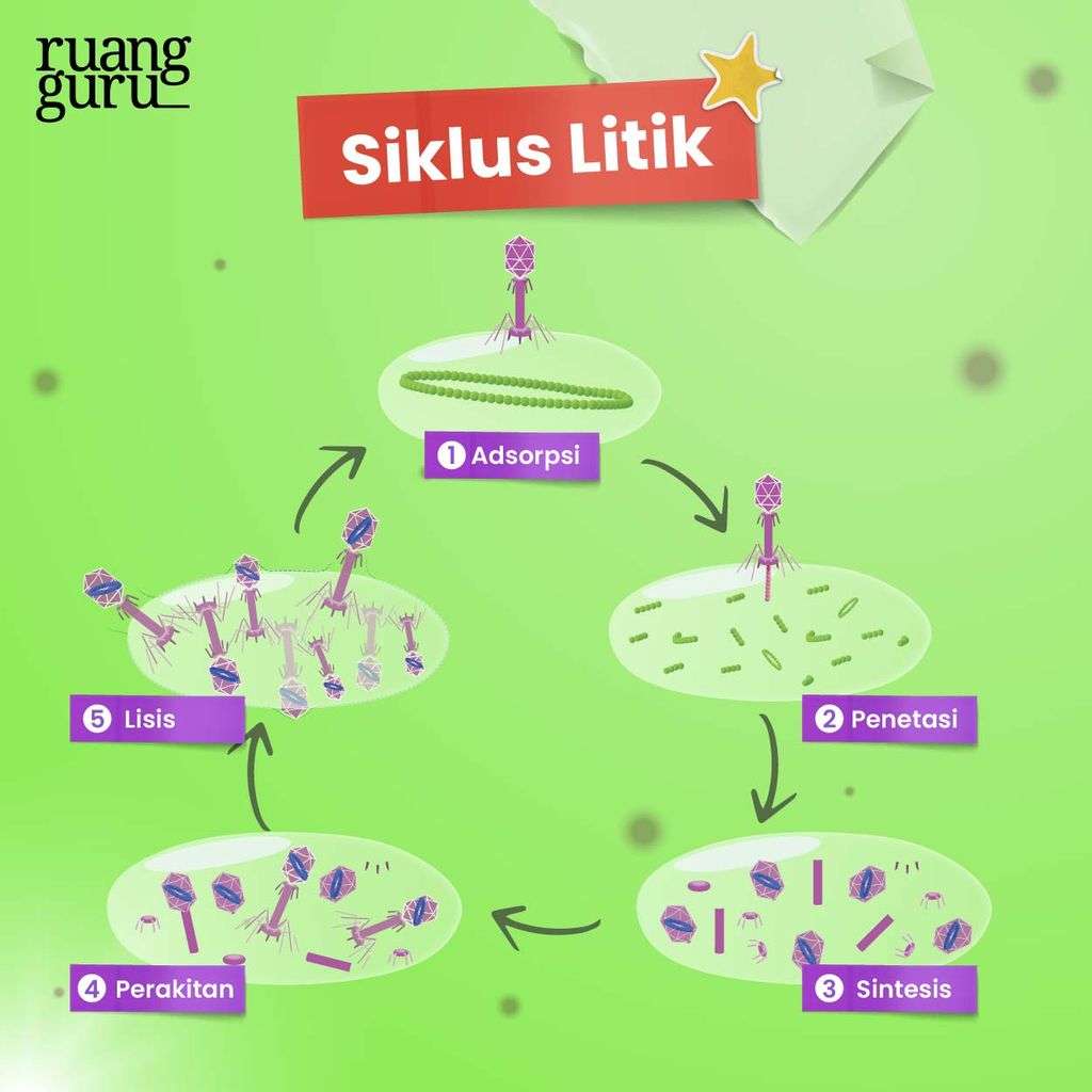 Siklus Litik puzzle online from photo