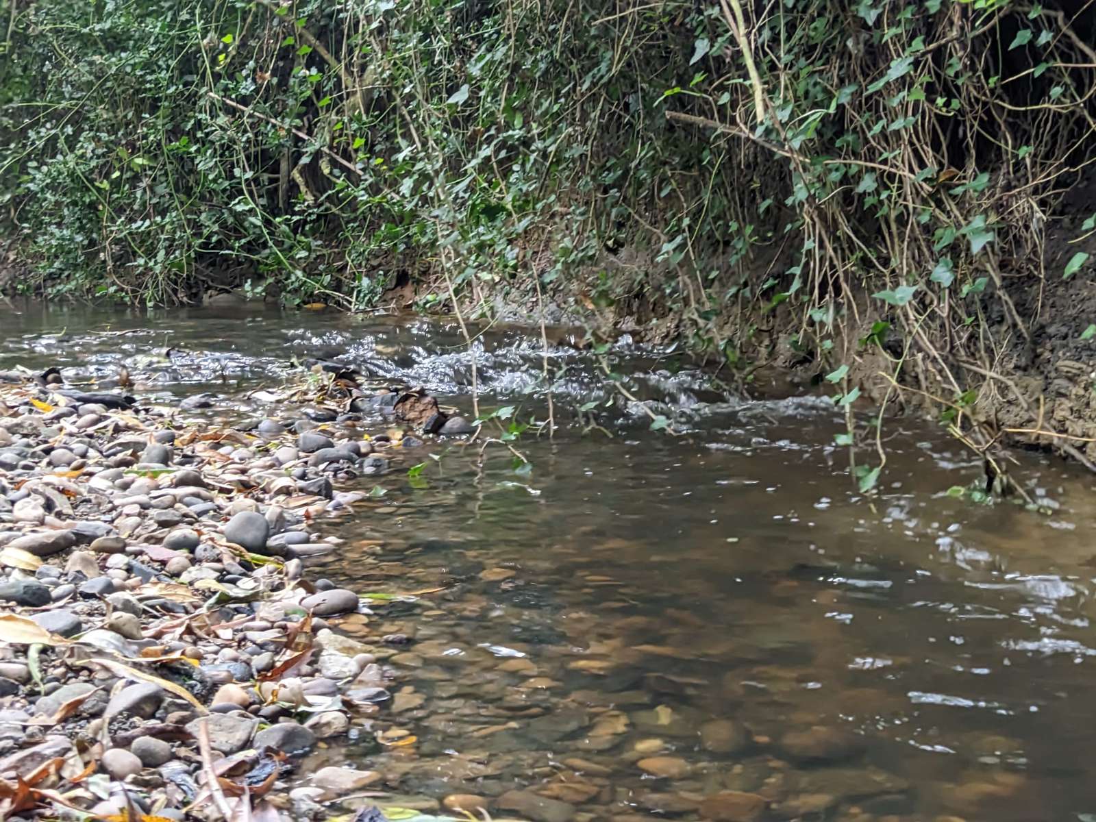 Knighton Park River 1 Pussel online