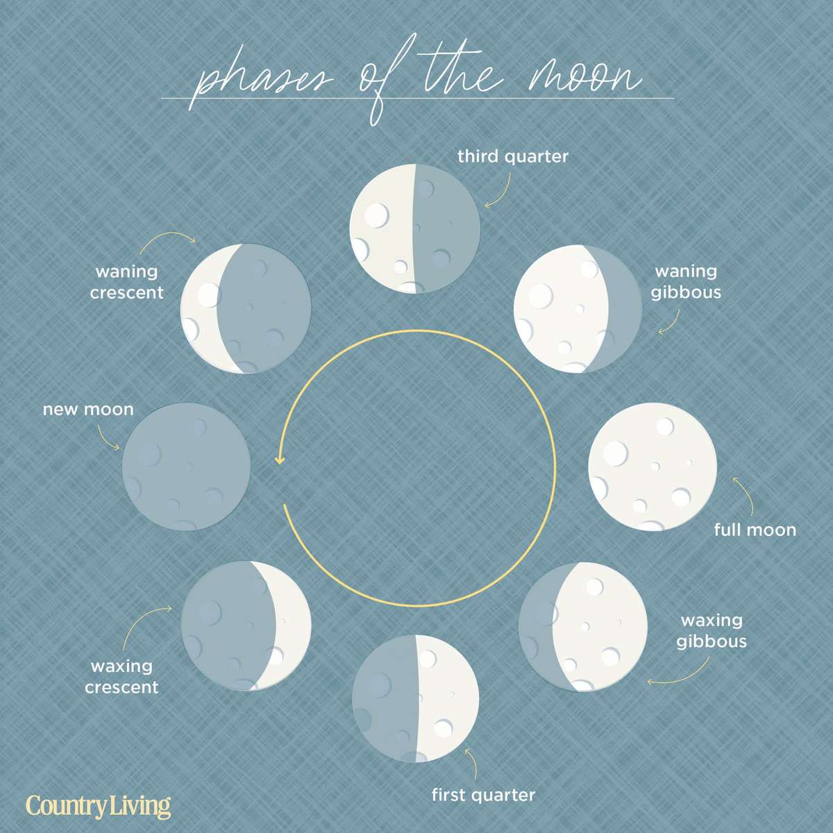 Moon phases online puzzle