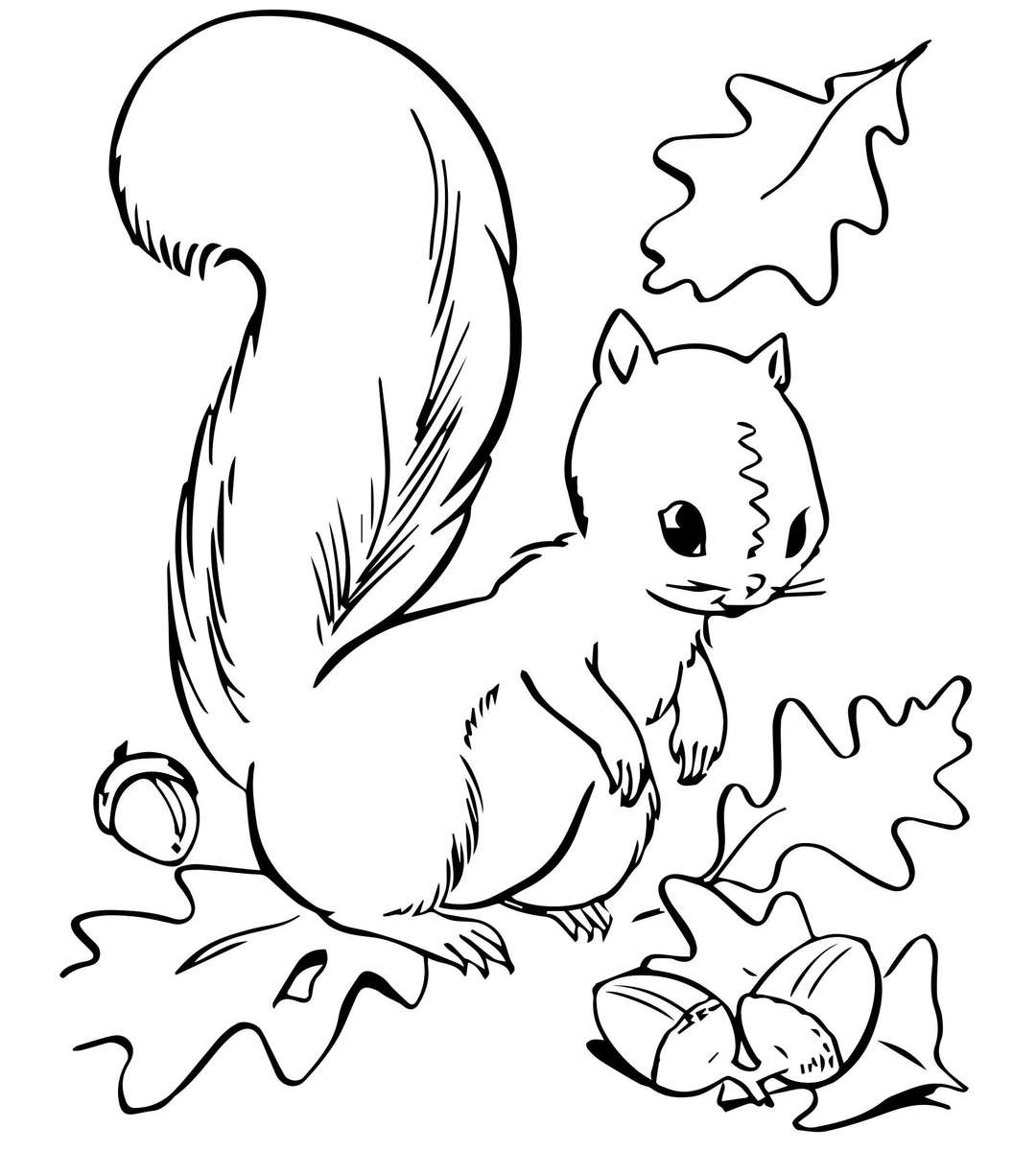 squirrel. puzzle online from photo
