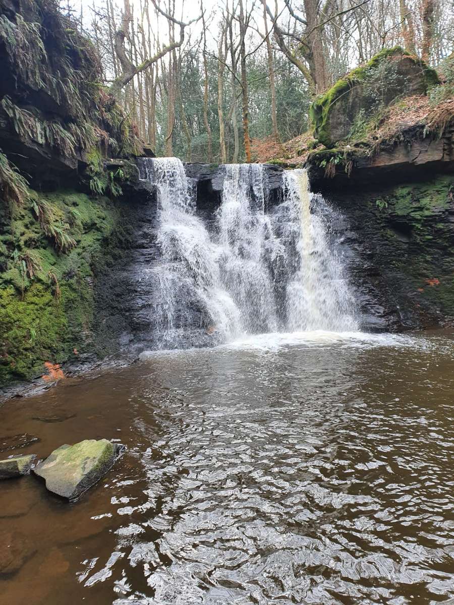 Cascada rompecabezas en línea