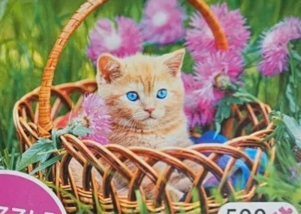 Kočka pěkná puzzle online z fotografie