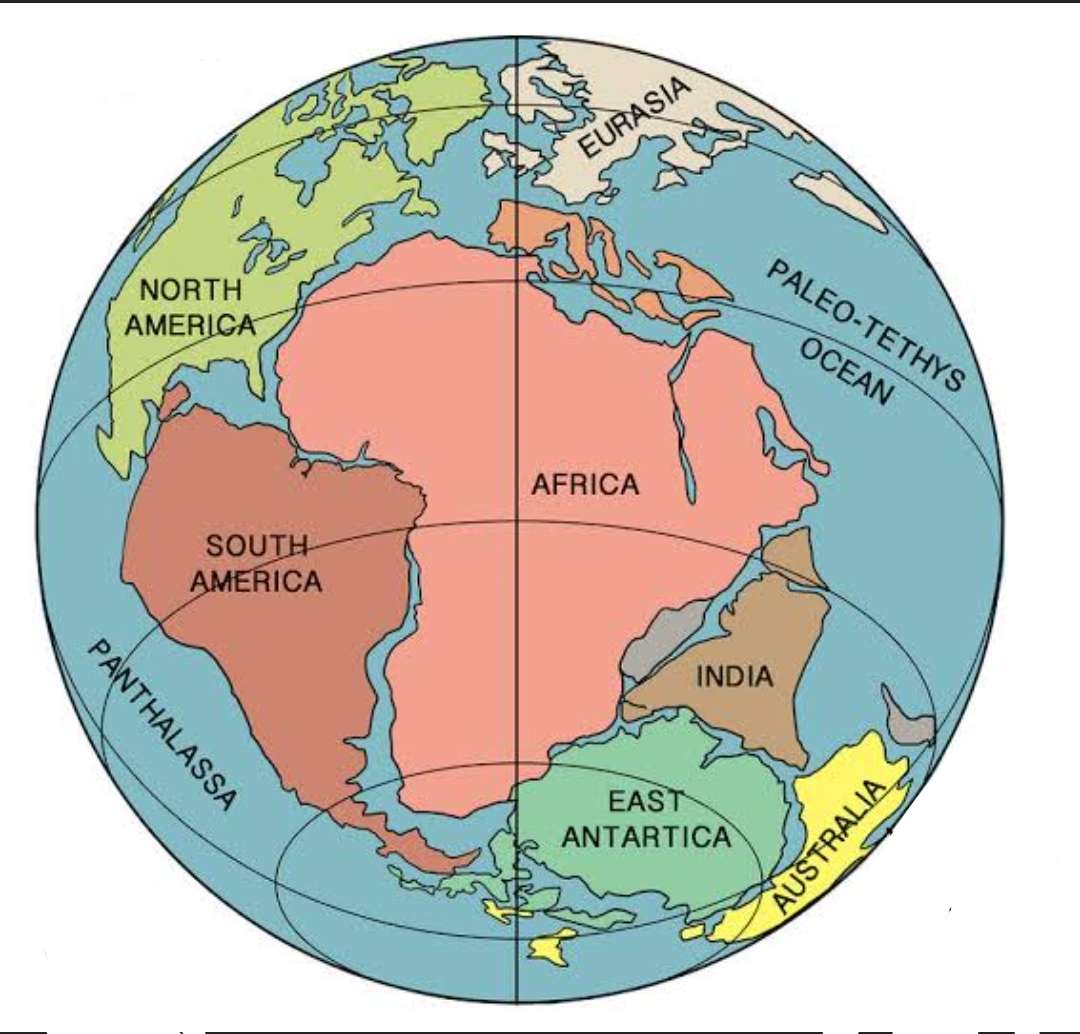 Continental Drift Hypothesis puzzle online from photo