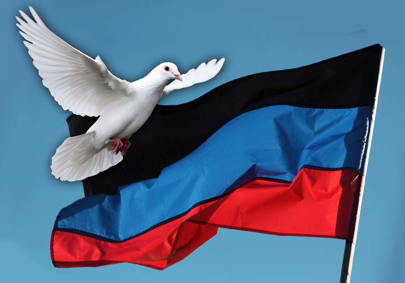 DPR-vlag puzzel online van foto