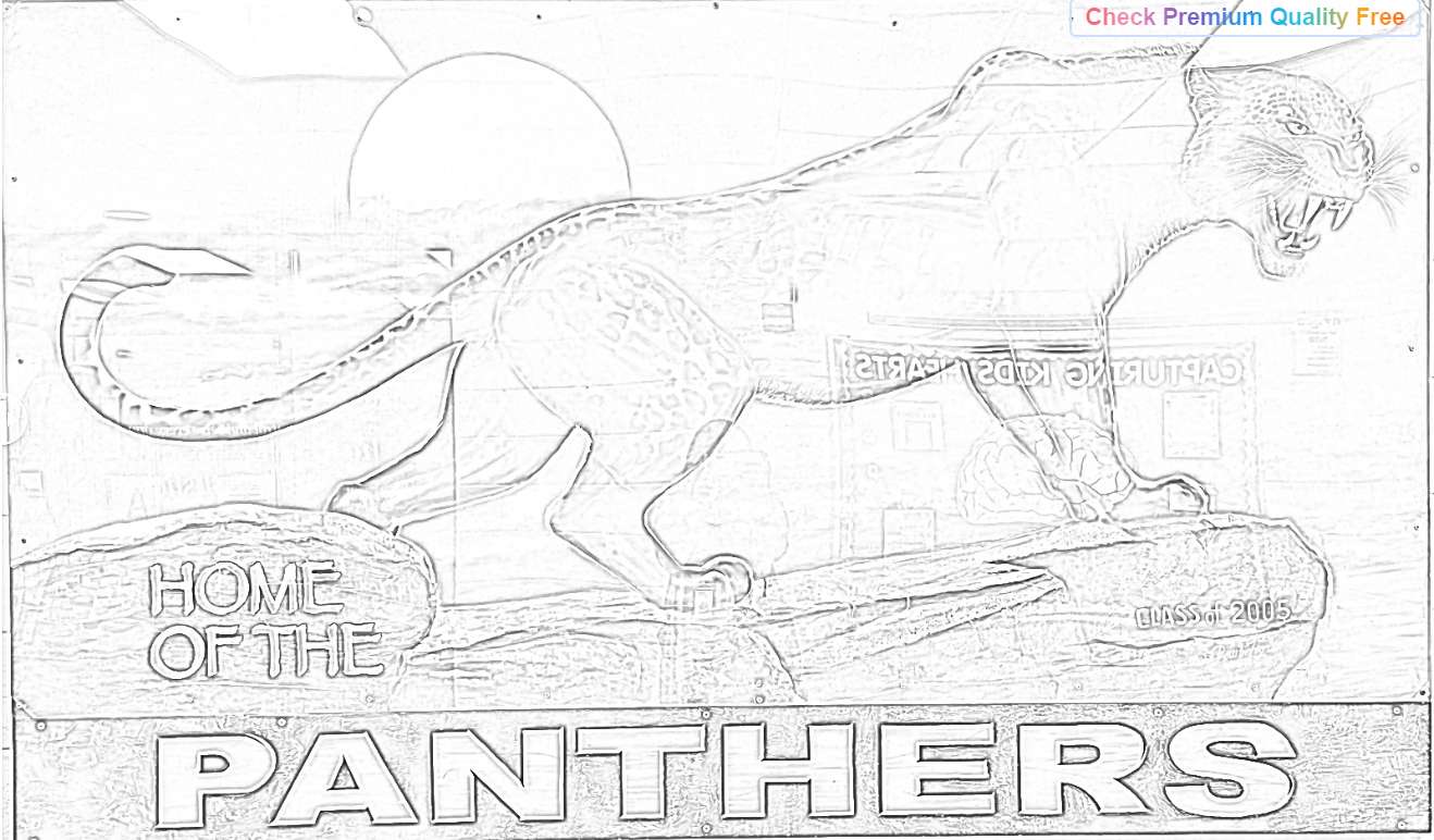 panthers puzzle online from photo