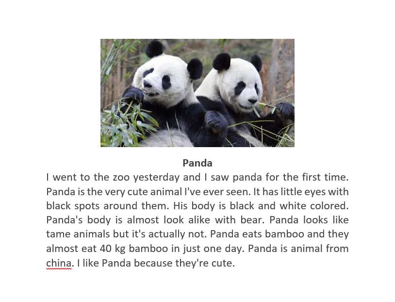 quebra-cabeça do panda puzzle online a partir de fotografia