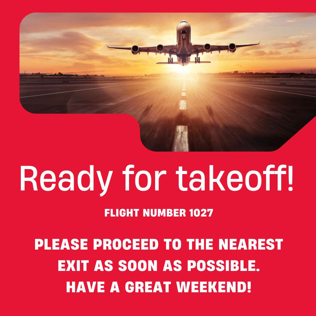 Ready for takeoff! puzzle online from photo