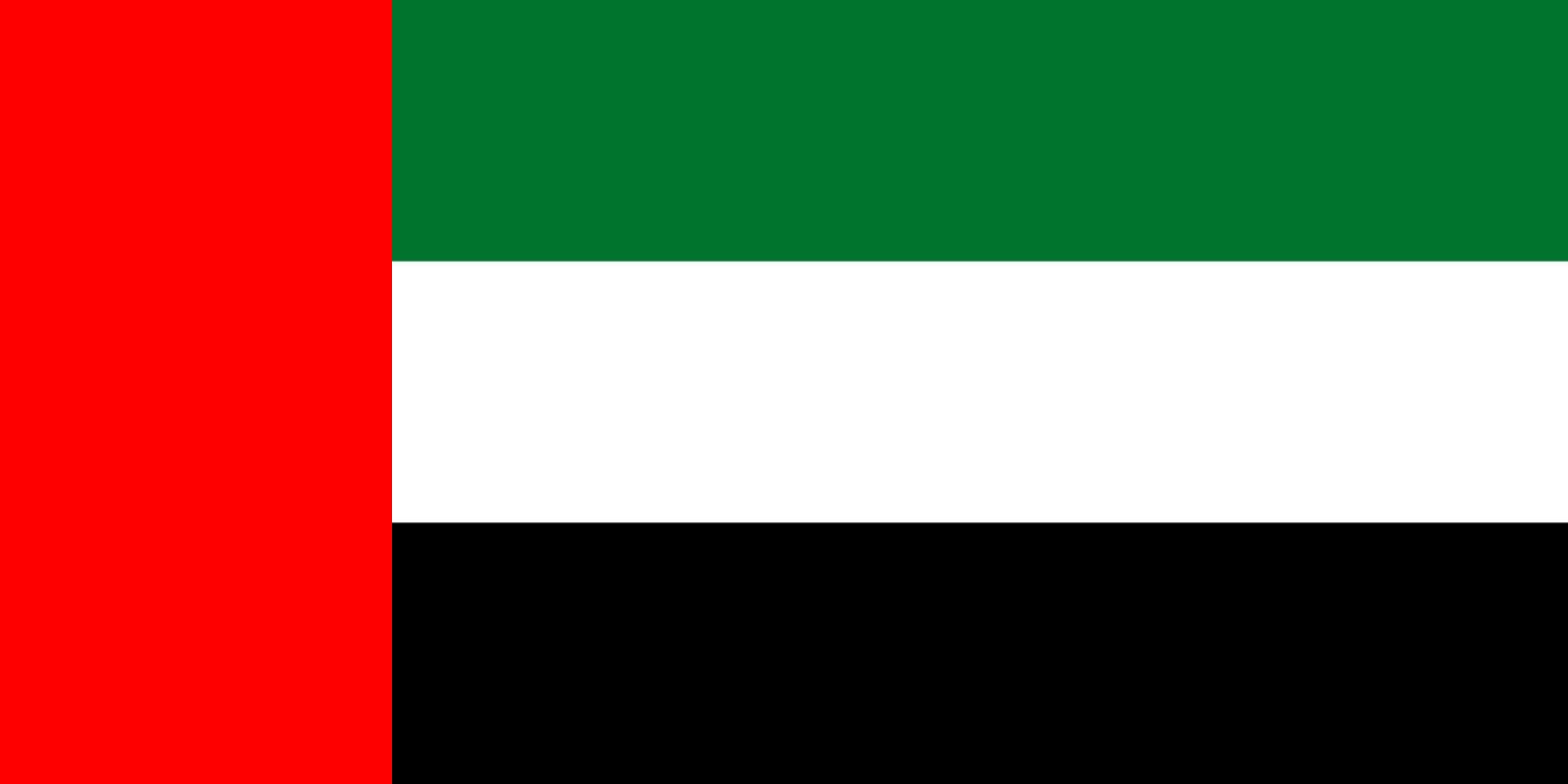 UAE Flag puzzle online from photo