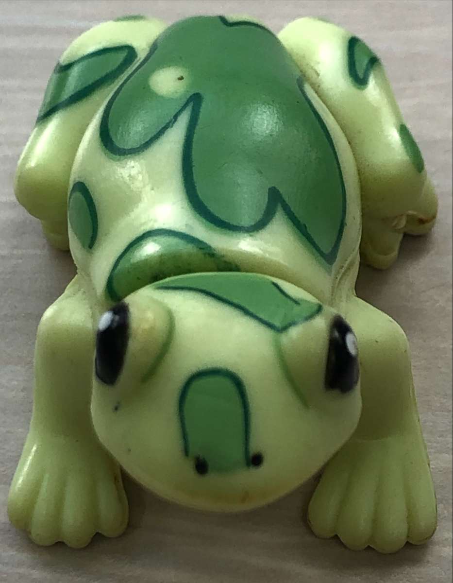 frog puzzle puzzle online from photo