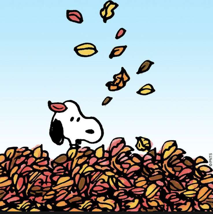 snoopy fall online puzzle