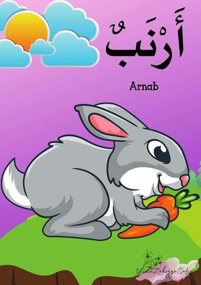 Puzzle Arnab Online-Puzzle