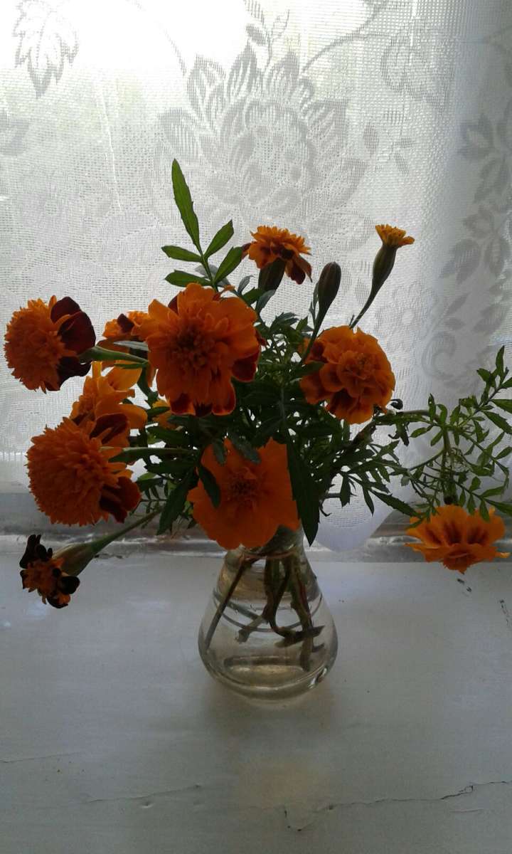 Blommorss pussel online från foto