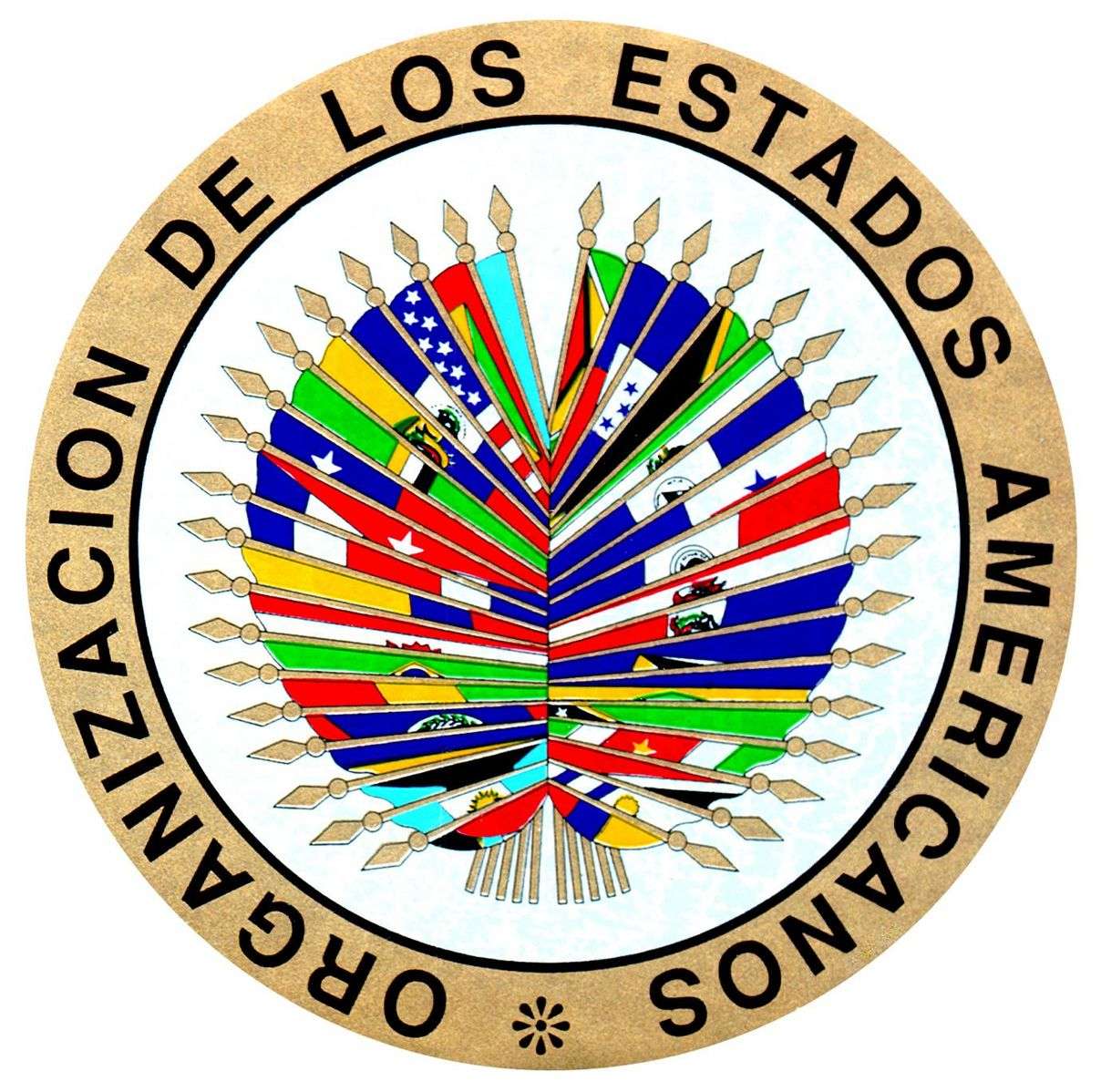 Logotipo OEA puzzle online fotóról