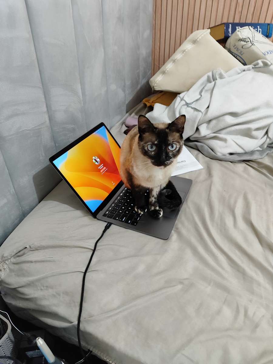 Chat sur Mac puzzle en ligne à partir d'une photo