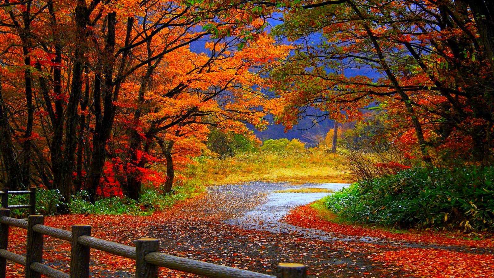 L'automne en couleurs puzzle en ligne