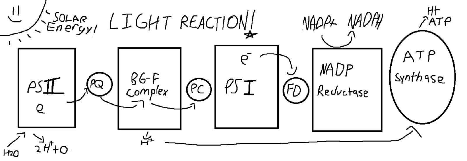 Light Reaction online puzzle
