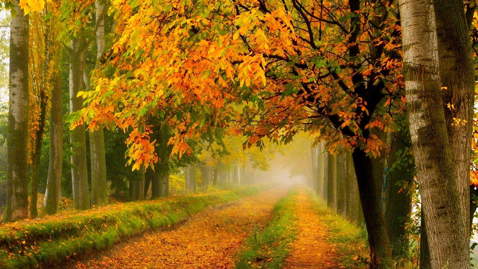 Селски път Есен онлайн пъзел от снимка