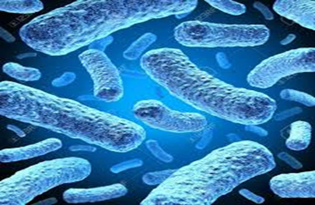 Бактерии Клетки онлайн-пазл