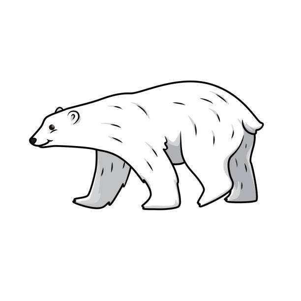 Полярний ведмідь скласти пазл онлайн з фото
