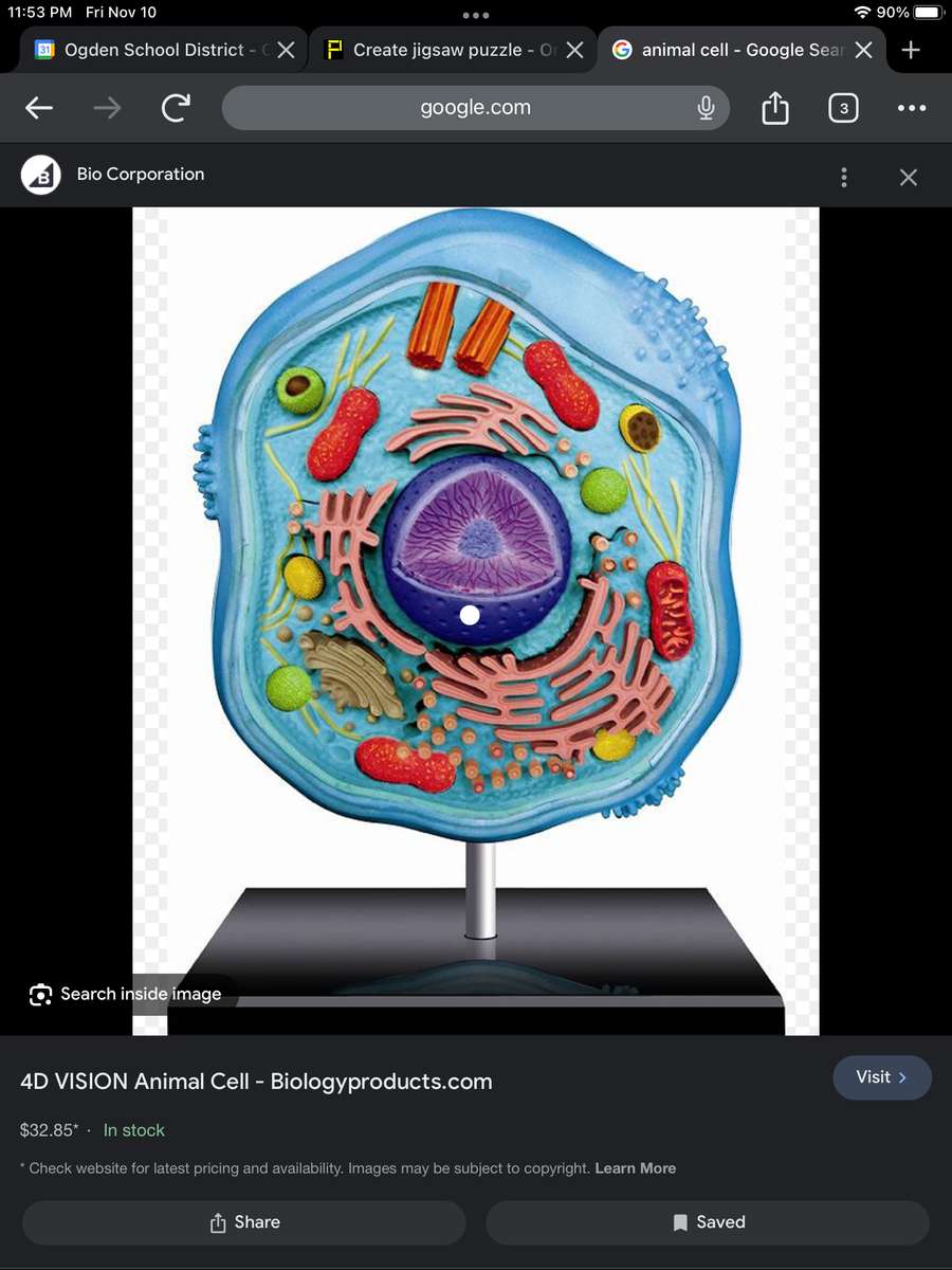 Celler Livets grundläggande enhet pussel online från foto