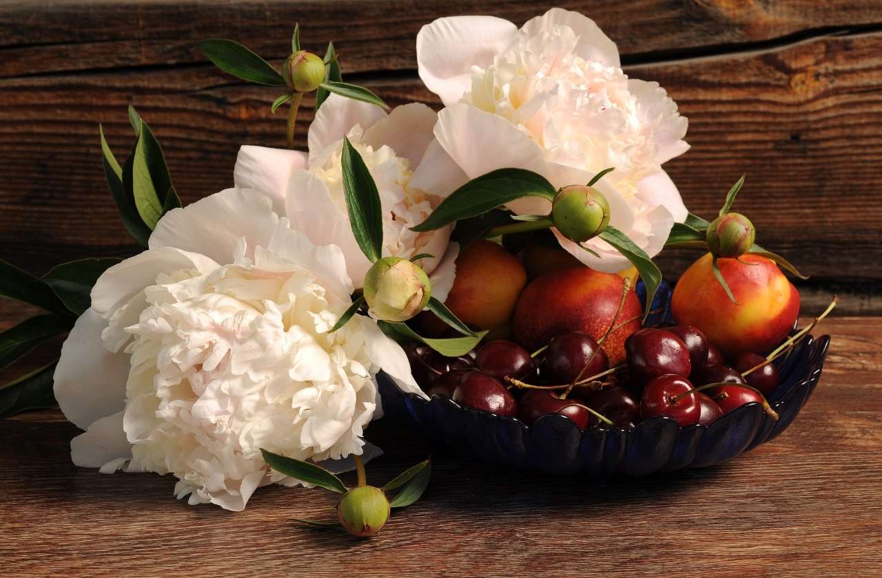 Still life with peonies online puzzle