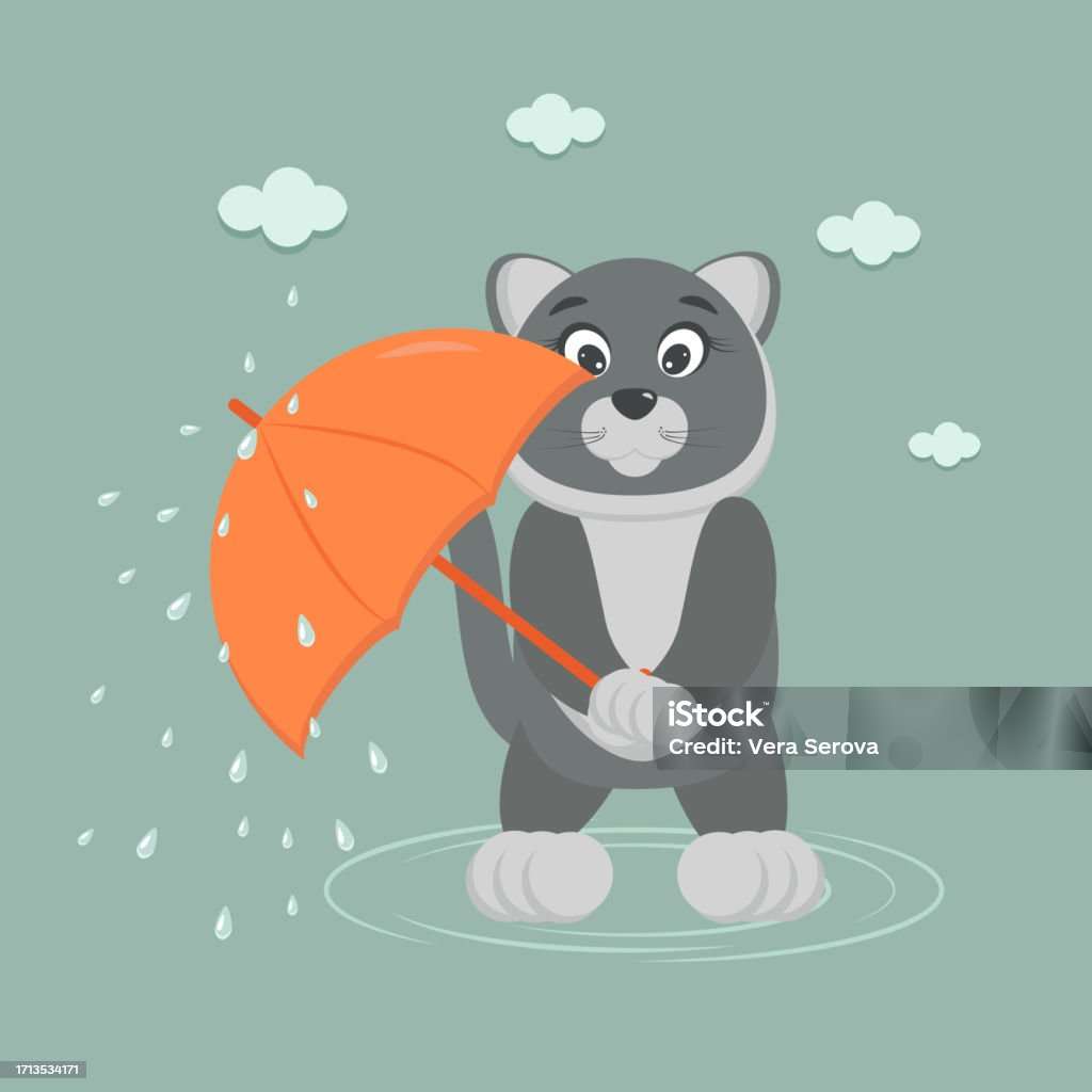 Rain and cat puzzle online from photo