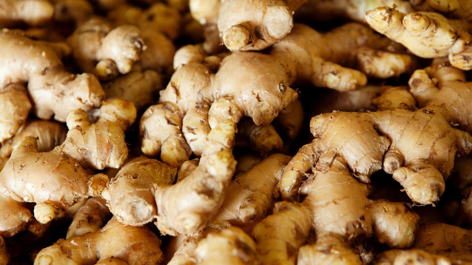 Ginger plant puzzle online from photo
