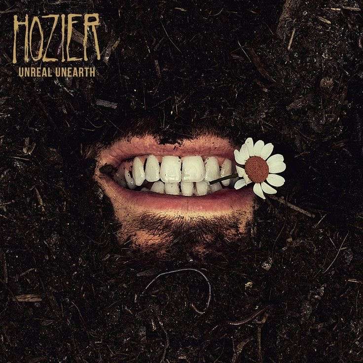 Hozier puzzle puzzle online from photo