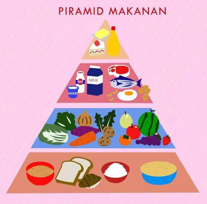 Piramid makanan online puzzle