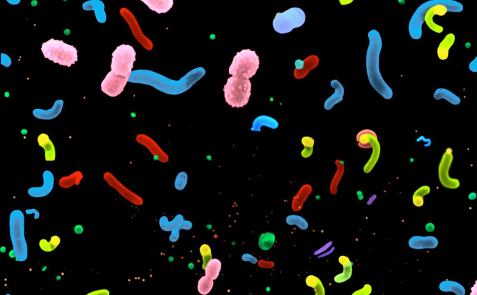Puzzle_microbes_hard puzzle online