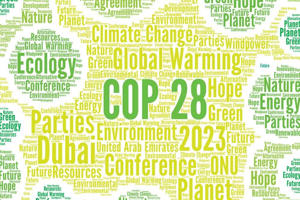 COP 28 2023 г онлайн пъзел