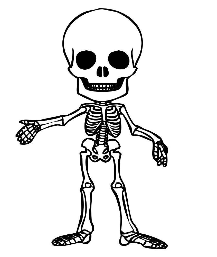 скелет людини скласти пазл онлайн з фото
