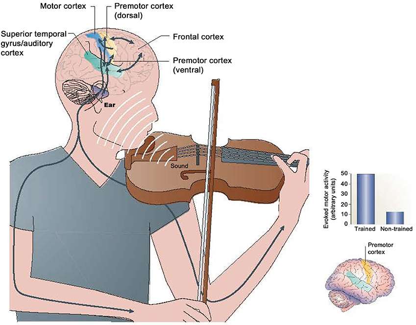 Musikverarbeitung Online-Puzzle vom Foto