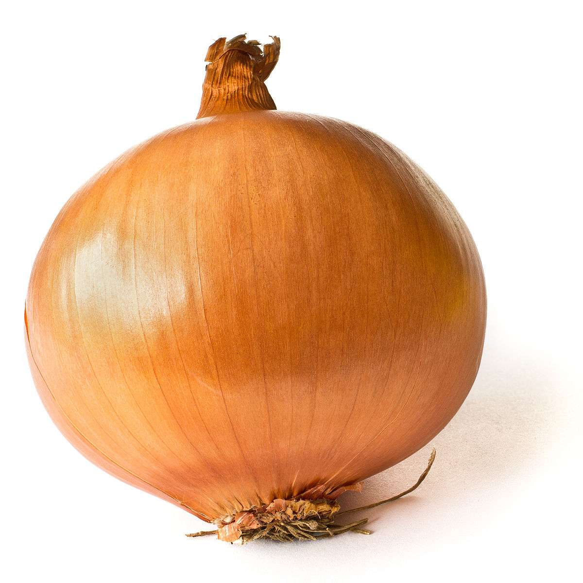 Onion vegetable puzzle online from photo