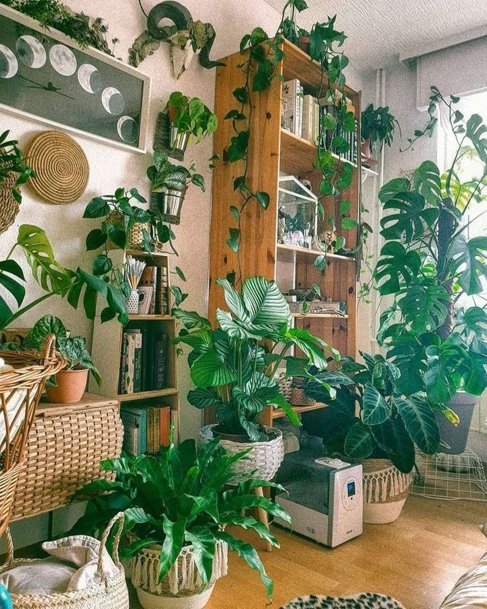 Living With Plants puzzle online from photo