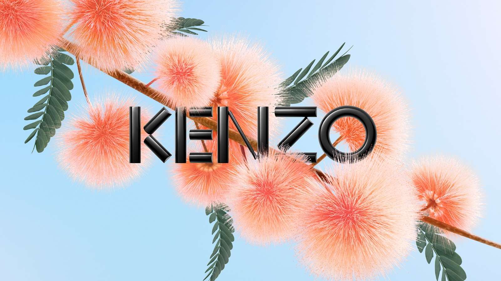 mimosa ikebana puzzle online