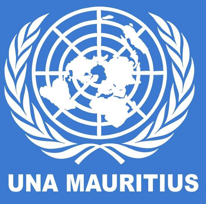 Förenta nationerna pussel online från foto