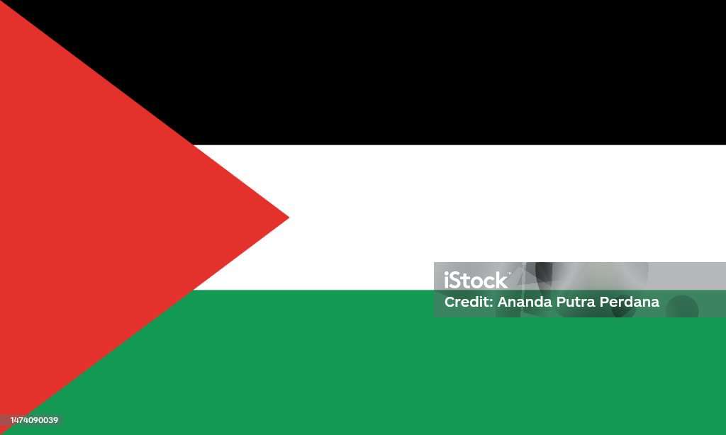 palestina bendera pussel online från foto