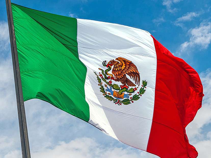 bandera mexic puzzle online din fotografie