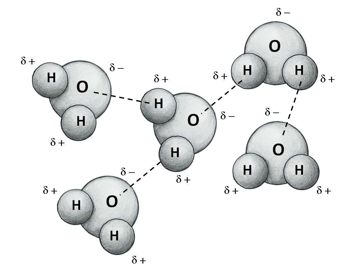 Wasserstoffbrückenbindungen in H2O Online-Puzzle