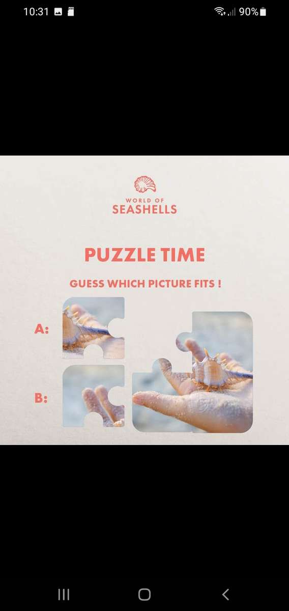 Seashells online puzzle
