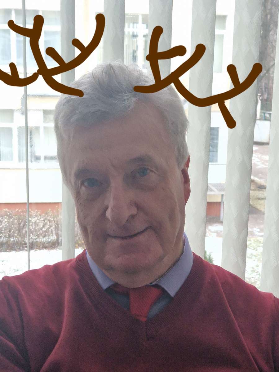 Mr H reindeer online puzzle