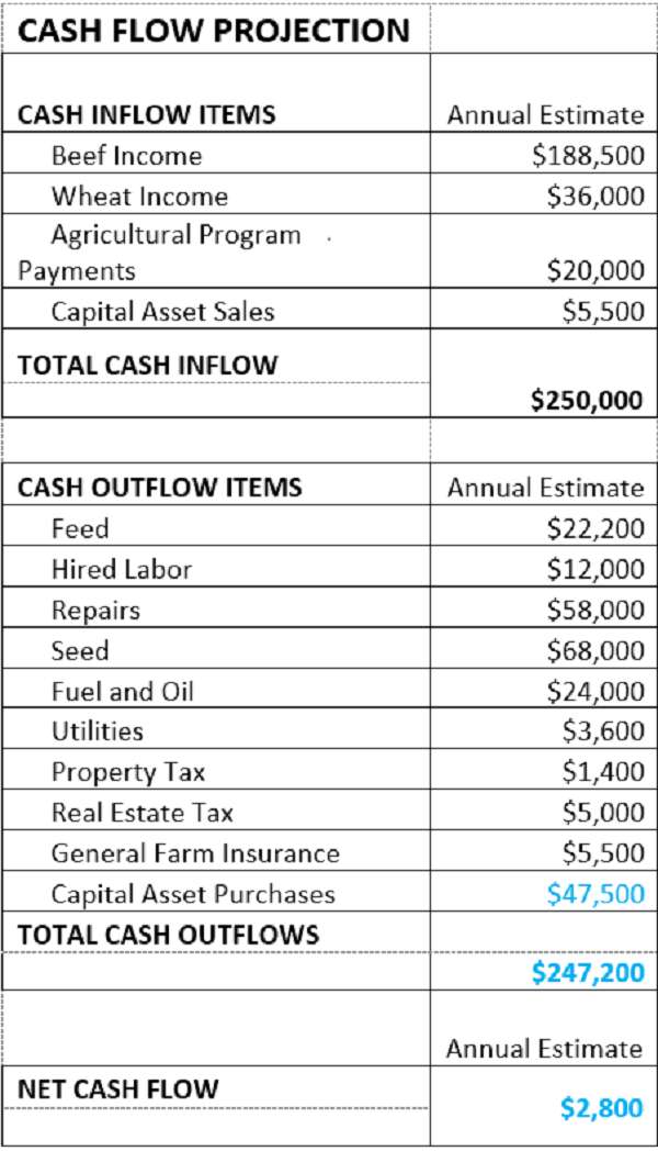 Cash Flow Projection Table puzzle online from photo