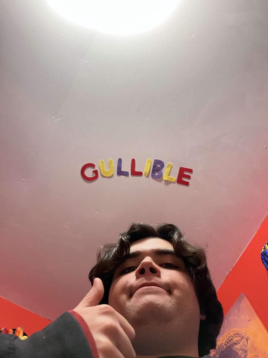 it says gullible on the ceiling puzzle online from photo