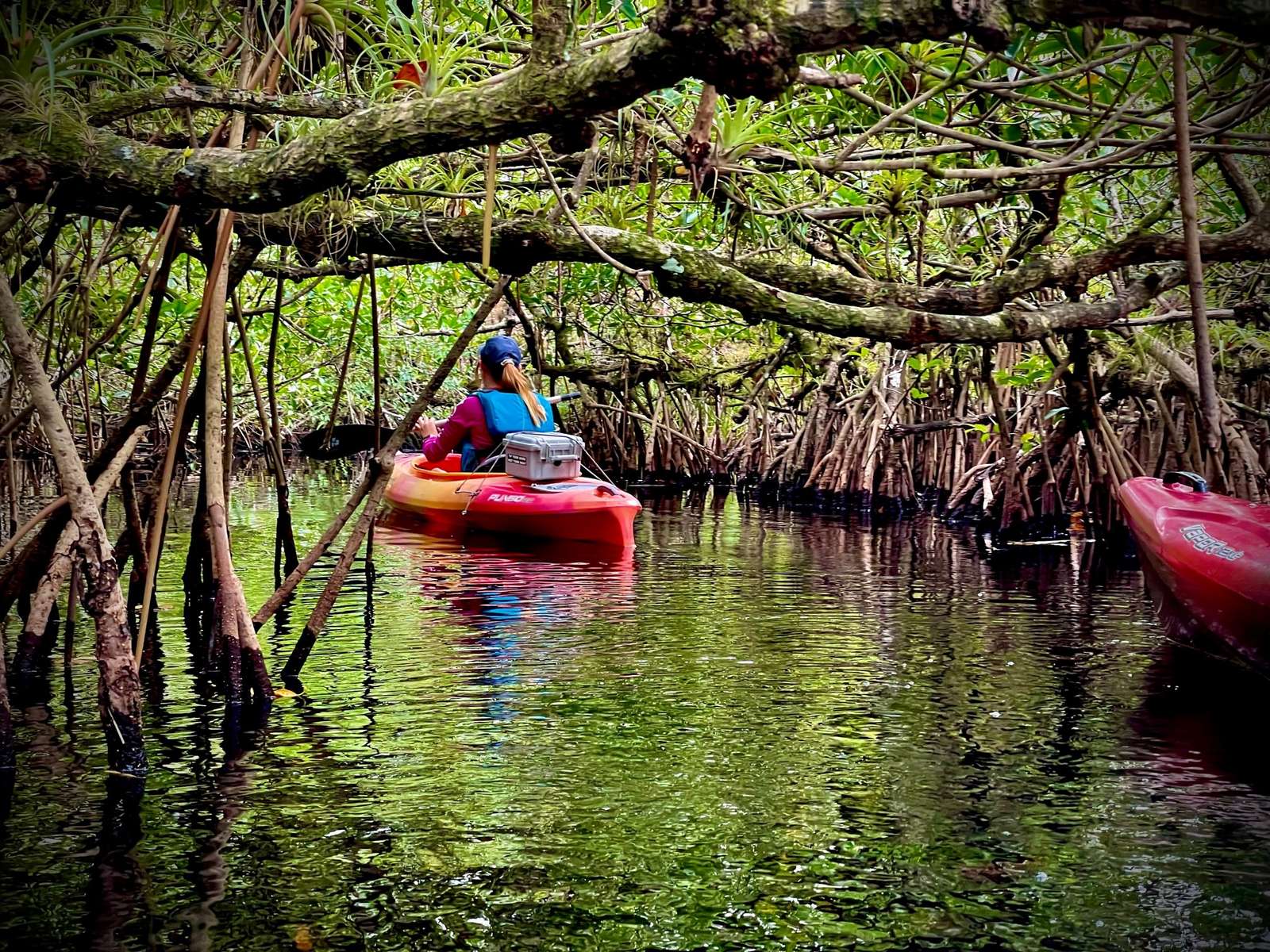 divertimento nella natura lol puzzle online da foto