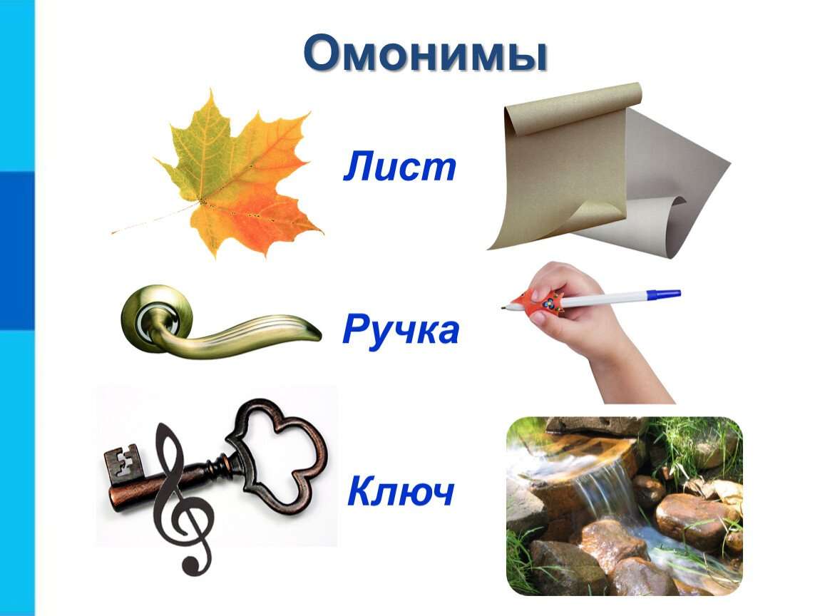 oonyms1 puzzle online from photo