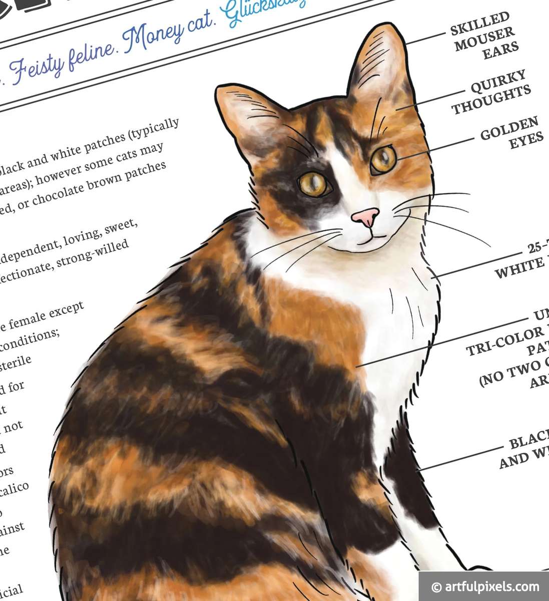 Calico Cat Schematics pussel online från foto