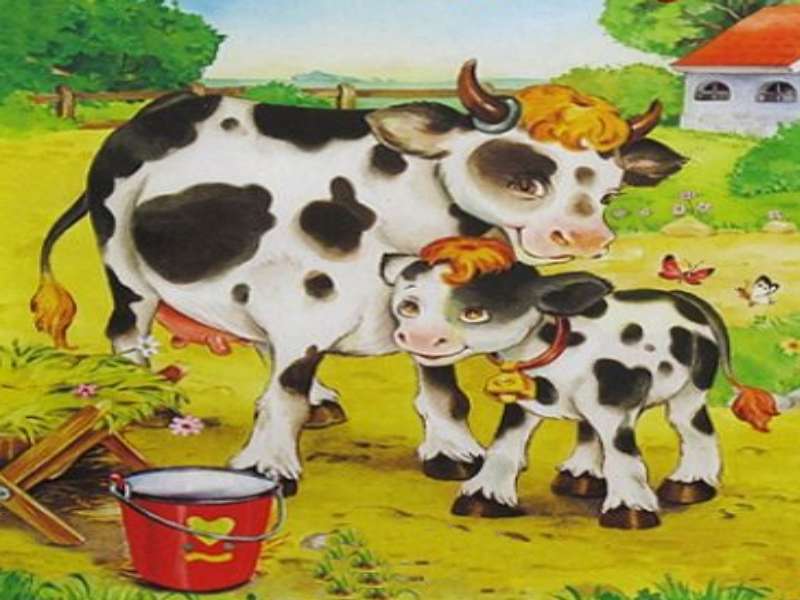 Крава и теле онлайн пъзел от снимка